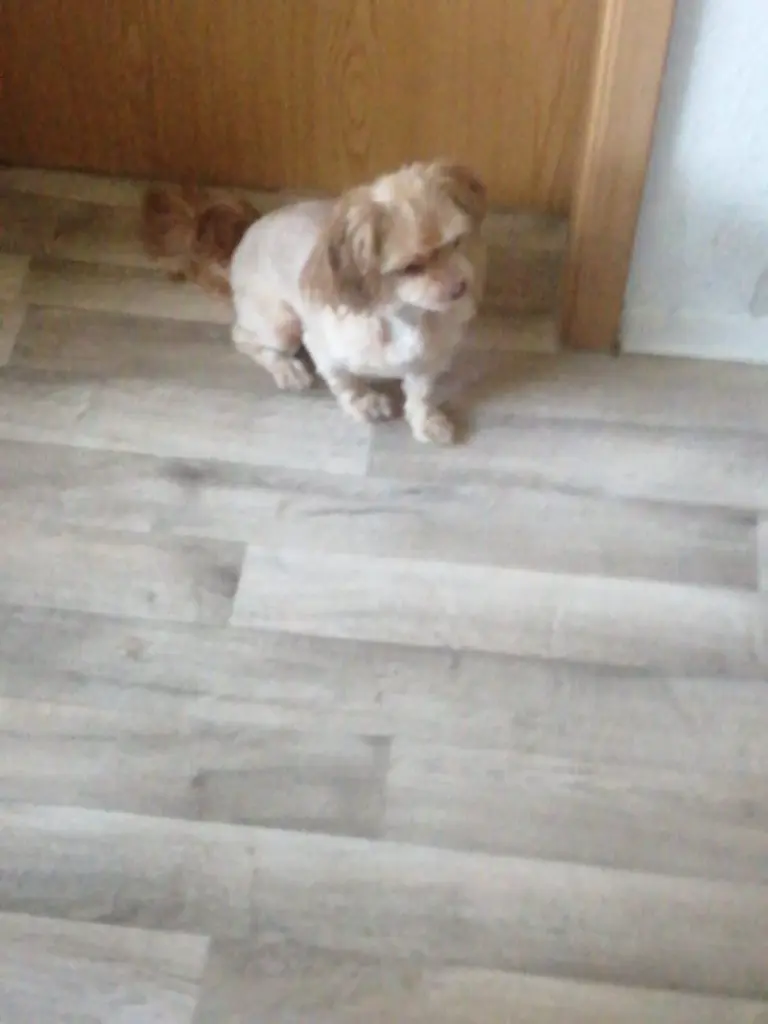 Andachtsbild von Monique Günther-Gilewitsch