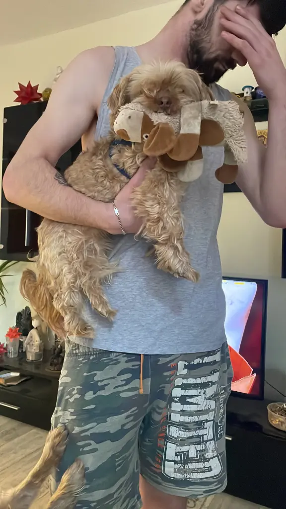 Er liebte sein Herrchen überalles