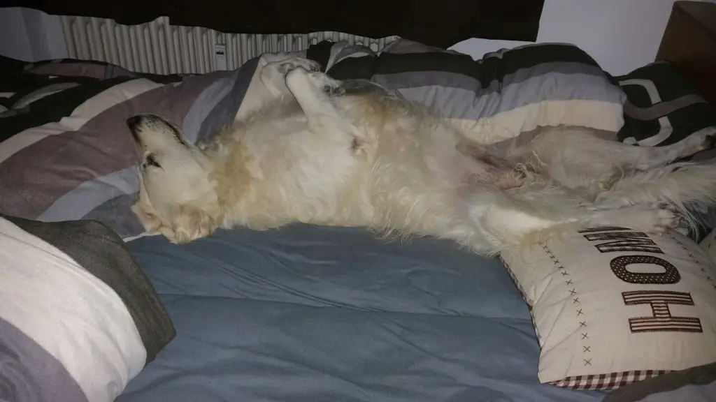 Condolence image of Liane 