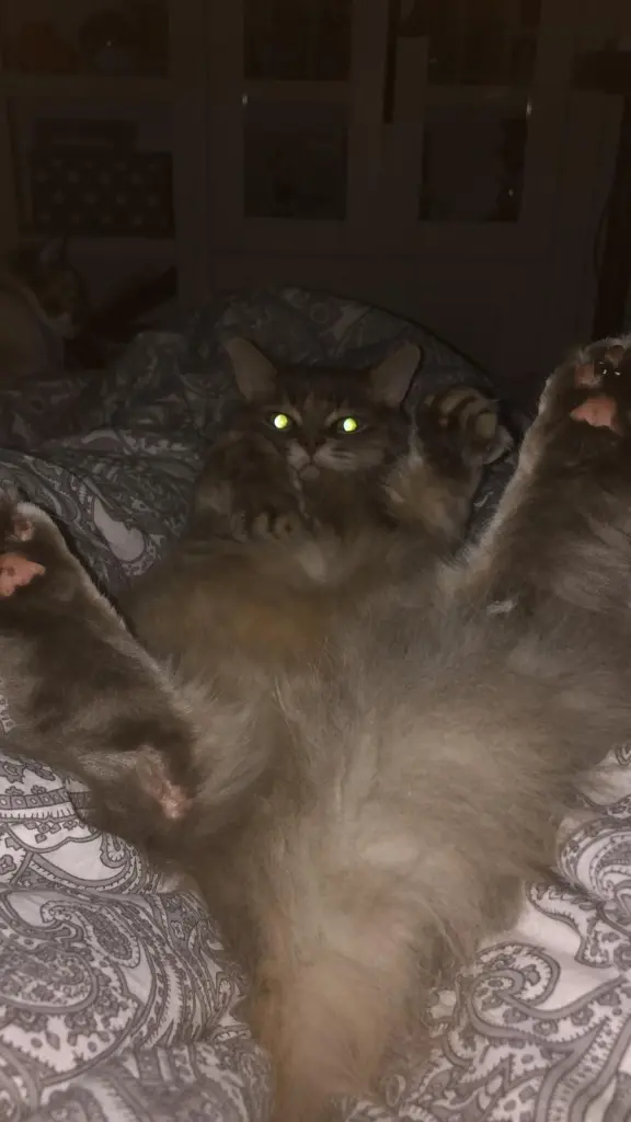 Image from Silver