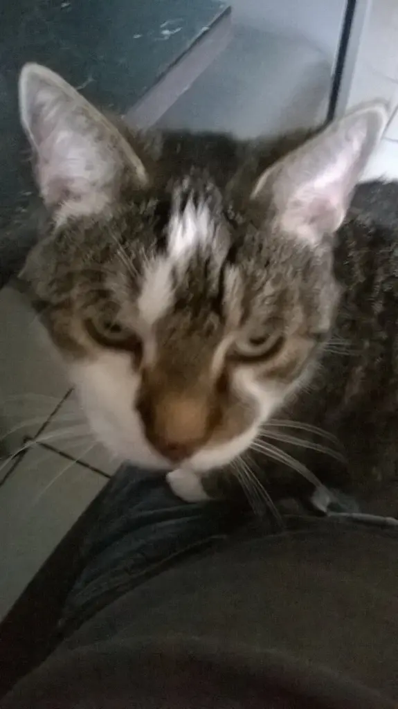 Andachtsbild von Ralf