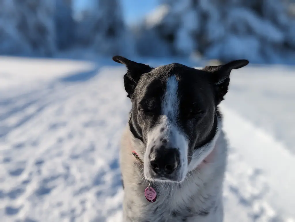 Andachtsbild von Nadine Apel