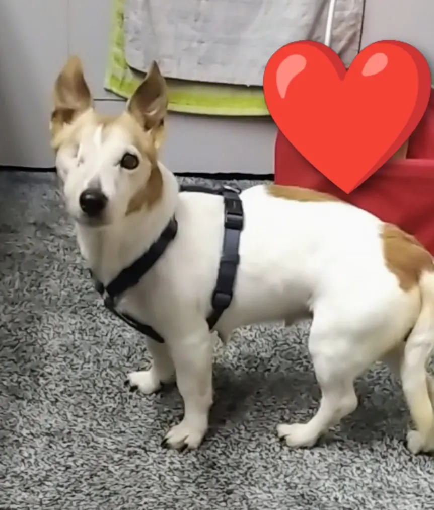 Andachtsbild von Esther Hack