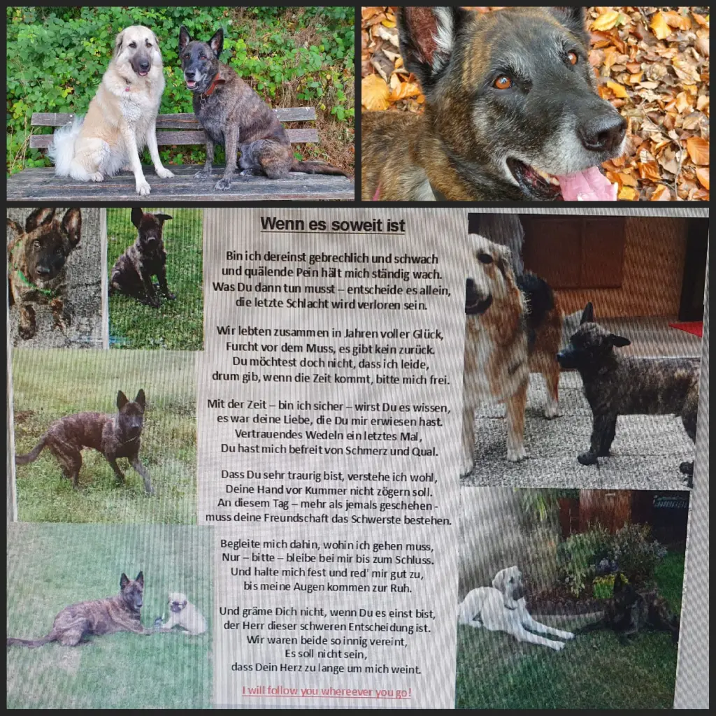 Andachtsbild von Sarah