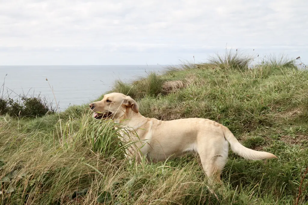 Spannende Ausflüge waren gut