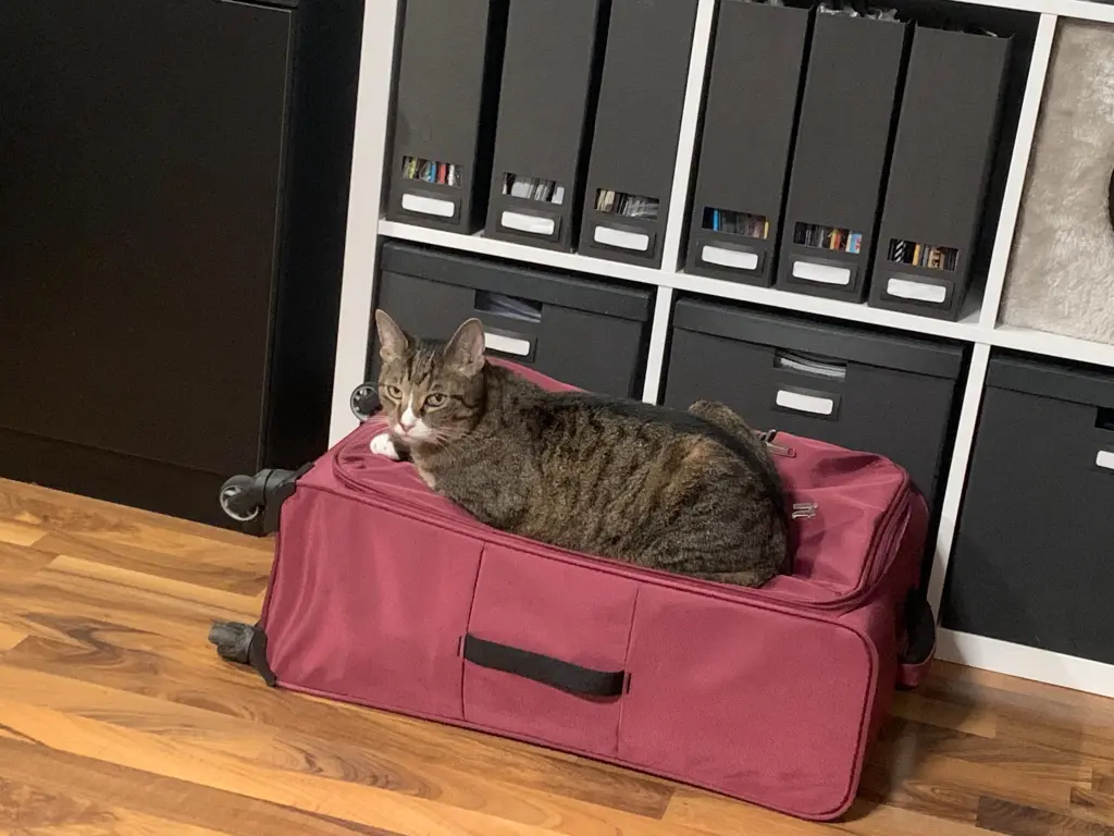 Andachtsbild von Marlies Atlas