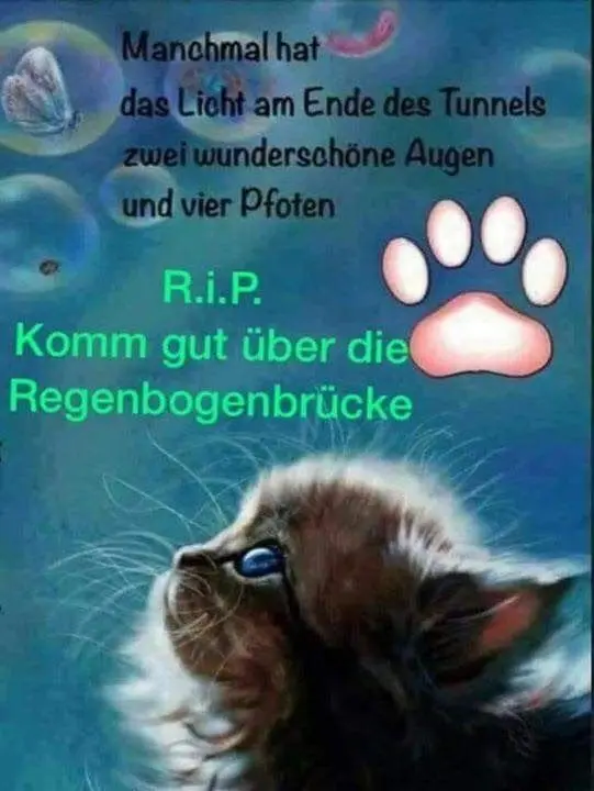 Andachtsbild von Michael & Family