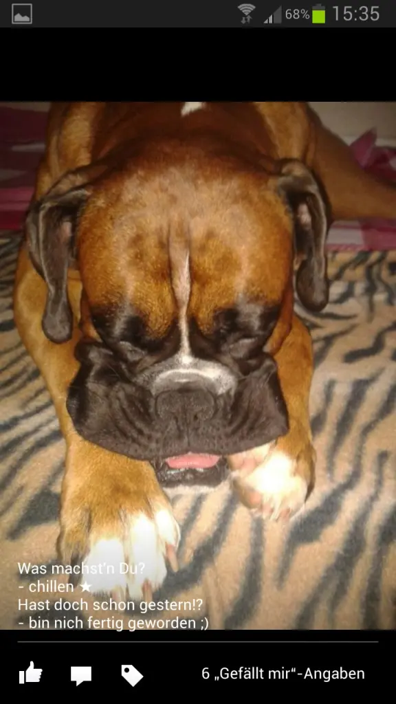 Condolence image of Unbekannt