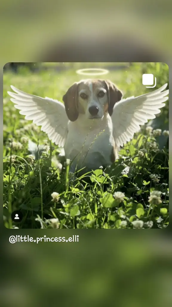 Andachtsbild von Manuela