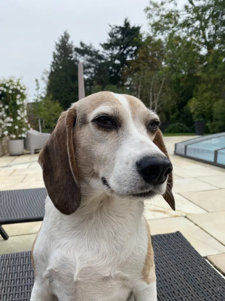 Andachtsbild von Manuela