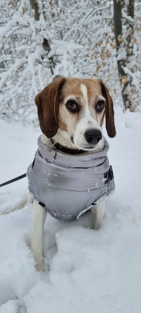 Andachtsbild von Manuela