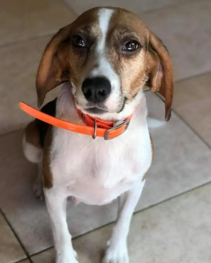 Auf diesem Bild habe ich mich in dich verliebt