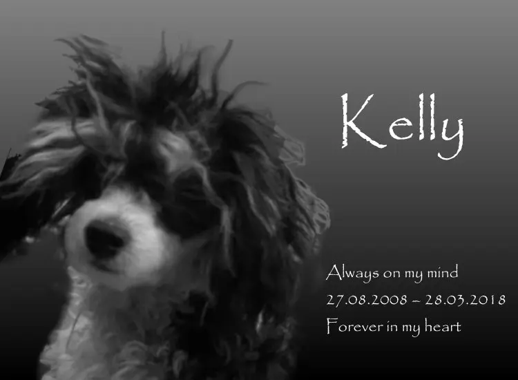 Condolence image of Holger