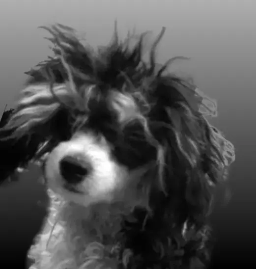 Condolence image of Holger