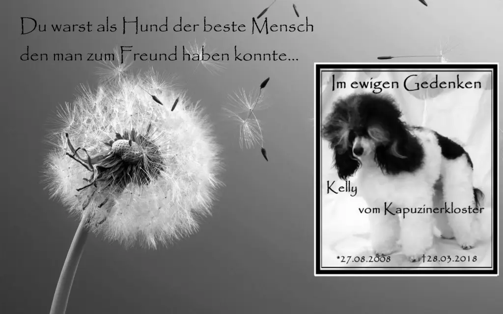 Condolence image of Holger