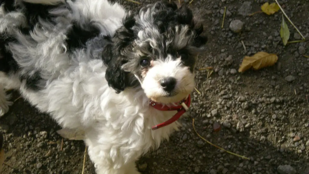 Condolence image of Holger