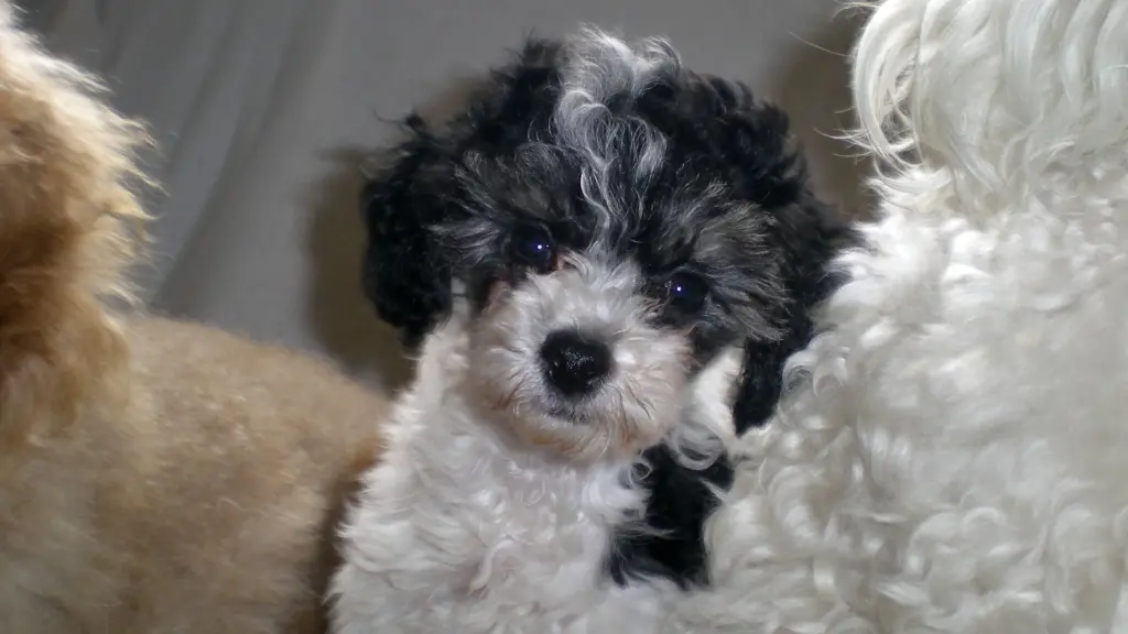 Condolence image of Holger