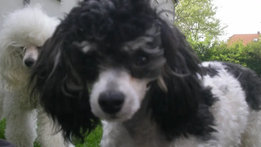 Condolence image of Unbekannt