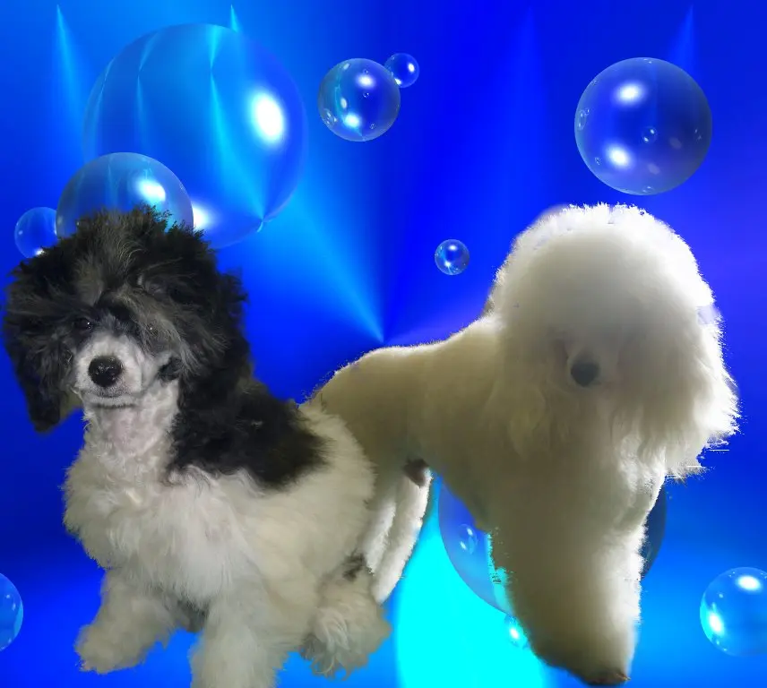 Condolence image of Holger