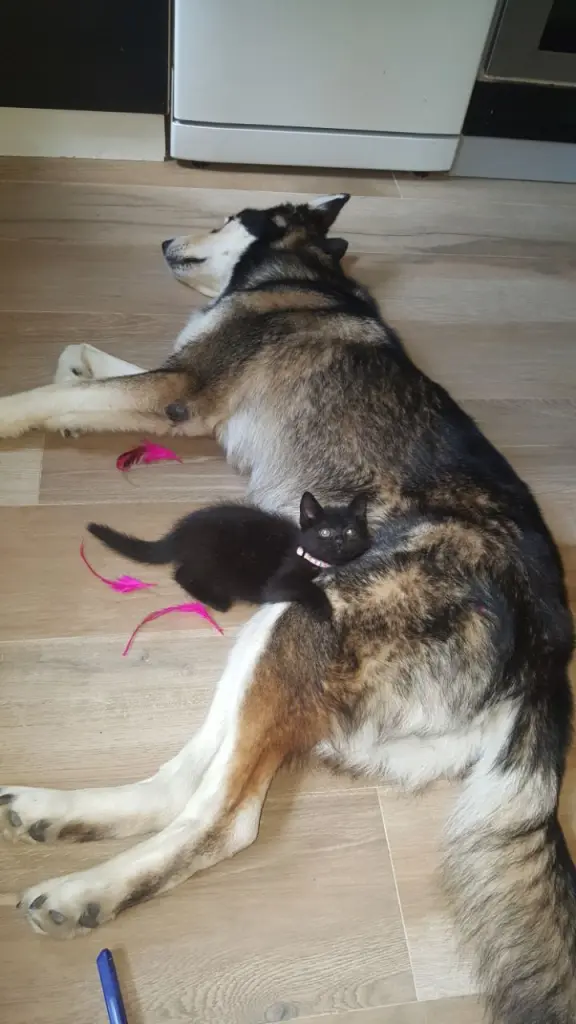 Condolence image of Jane