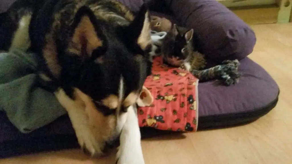 Condolence image of Jane