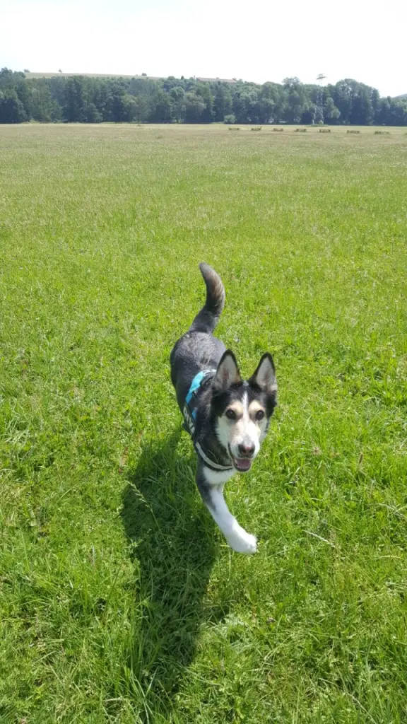 Condolence image of Jane