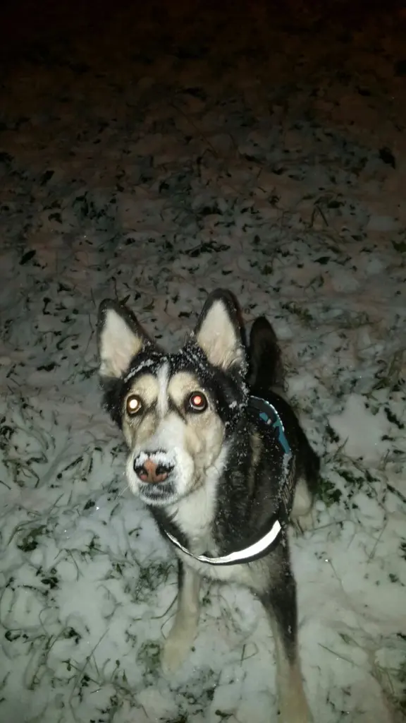 Condolence image of Jane