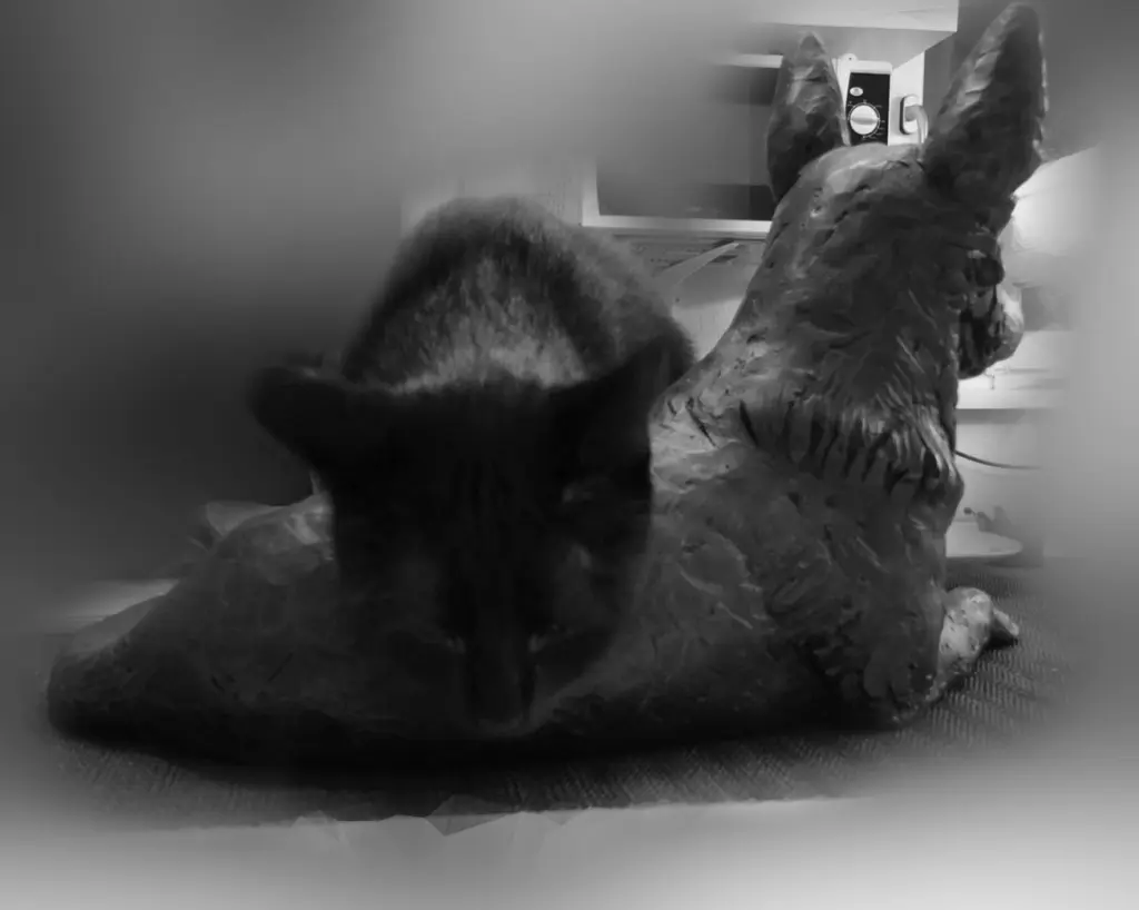 Condolence image of Carolin Kunze