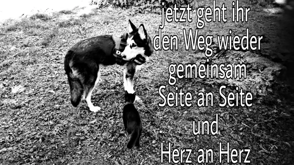 Condolence image of Mama