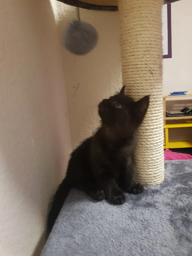 Condolence image of Jane