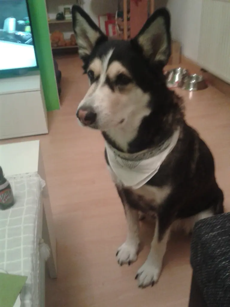 Condolence image of Jane