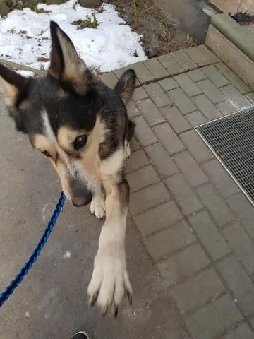 Condolence image of Jane