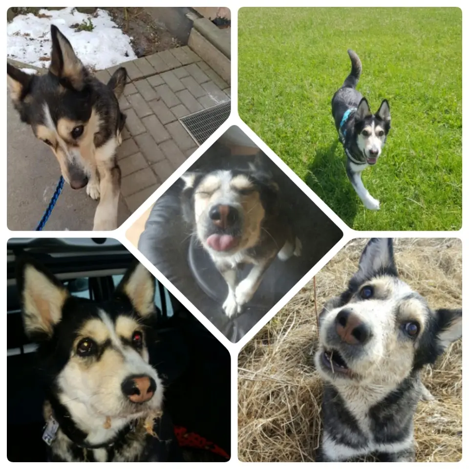 Condolence image of Jane