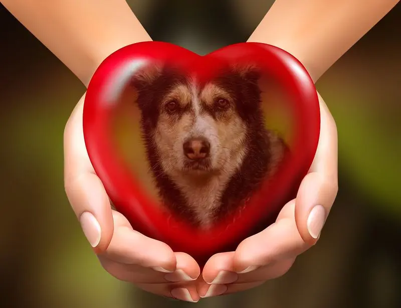 Condolence image of ❤️❤️❤️