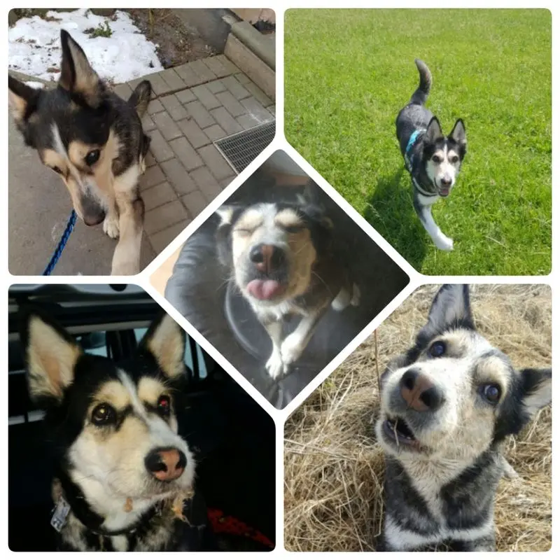 Condolence image of Jane