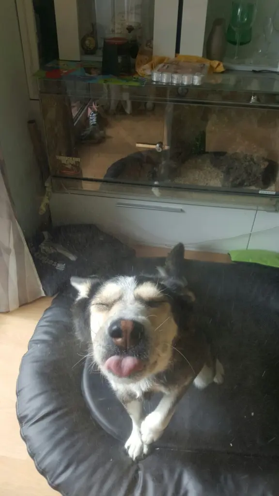 Condolence image of Jane