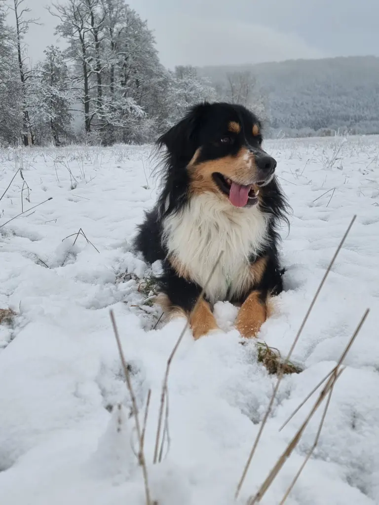 Condolence image of Jane