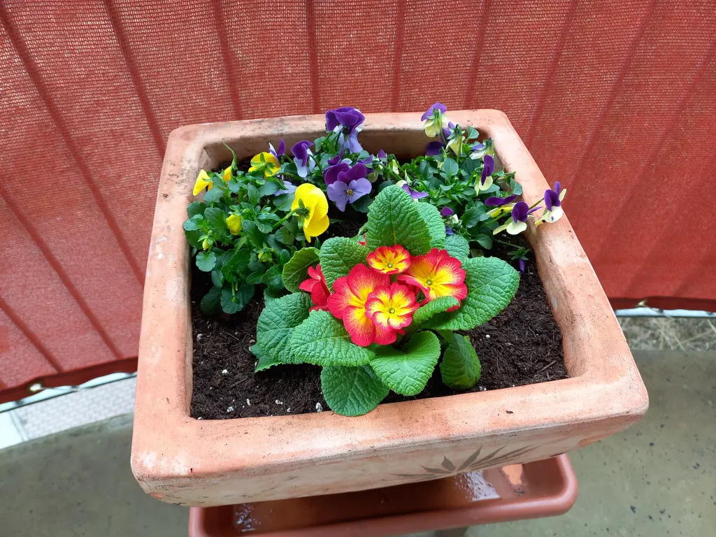 Condolence image of Jane