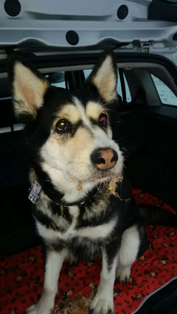 Condolence image of Jane 