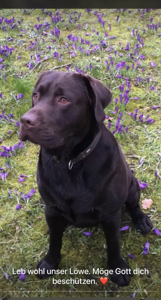 Andachtsbild von Ulas