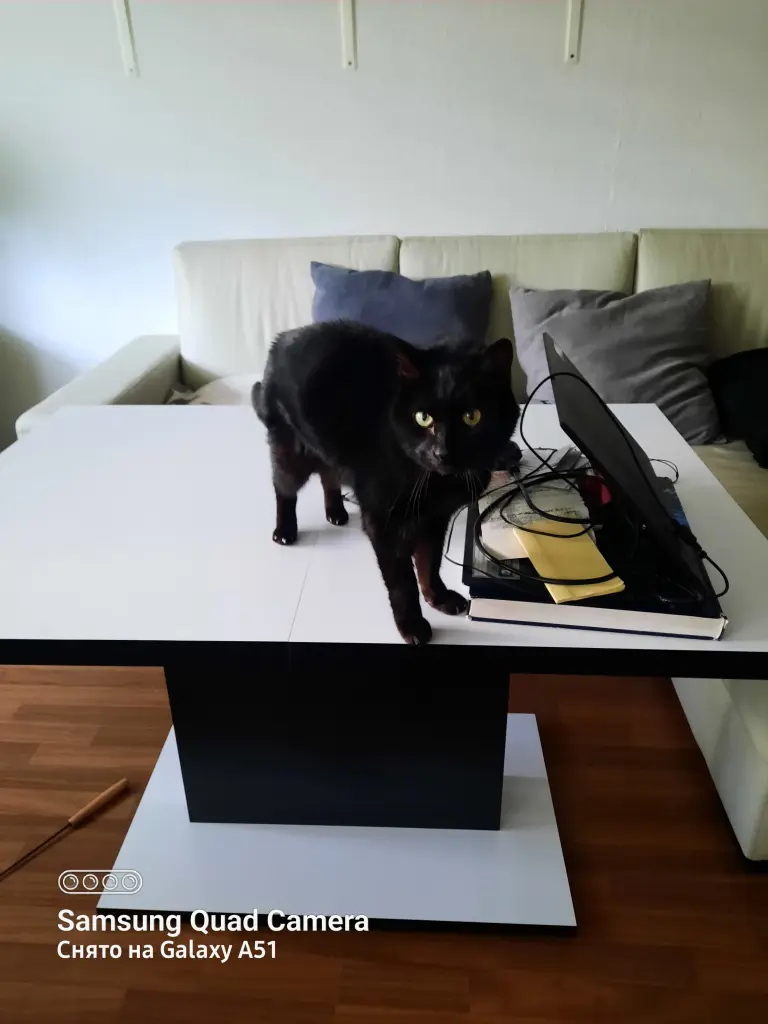 Image from Lemon