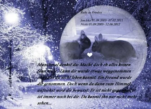 Image from Nicki und Joschka