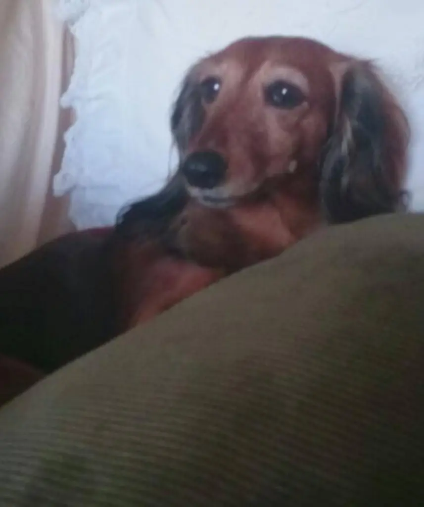 Andachtsbild von ❤️