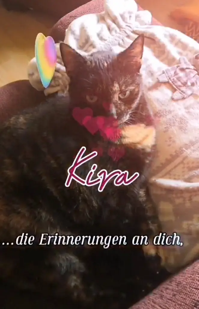 Image from Kira