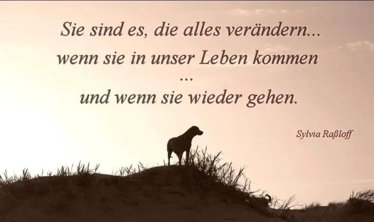 Andachtsbild von Irene mit JIMMY im Herzen ❤️ Gute Reise zu den Sternen ☆