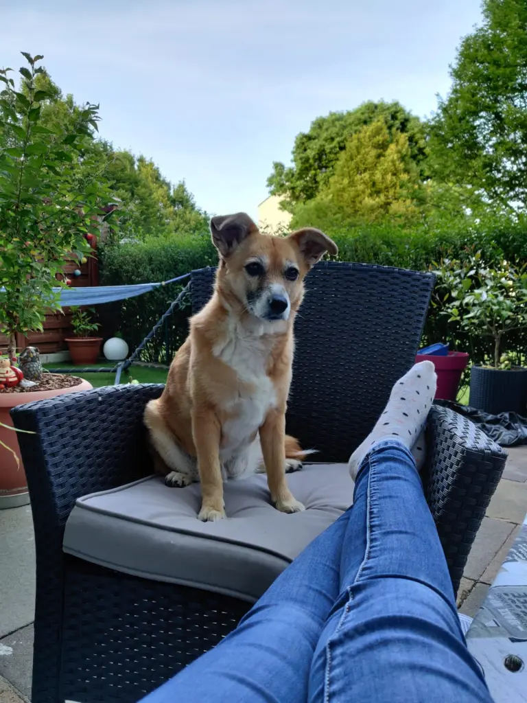 Andachtsbild von Mandy mit Jazz für Zuzi