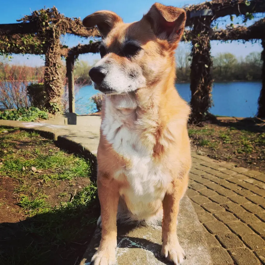 Andachtsbild von Mandy & Jazz für Zuzi