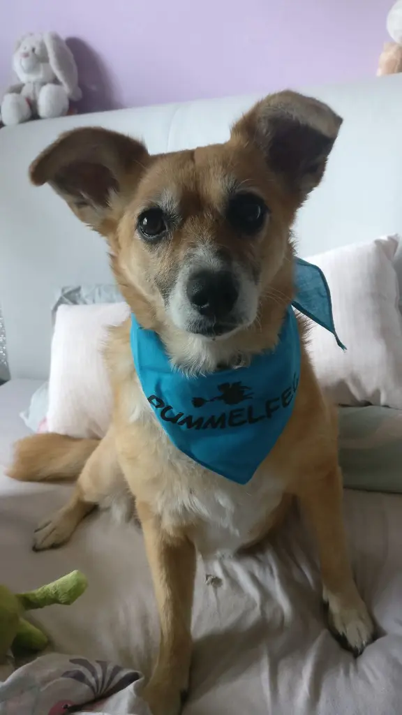 Andachtsbild von Mandy & Jazz für Zuzi