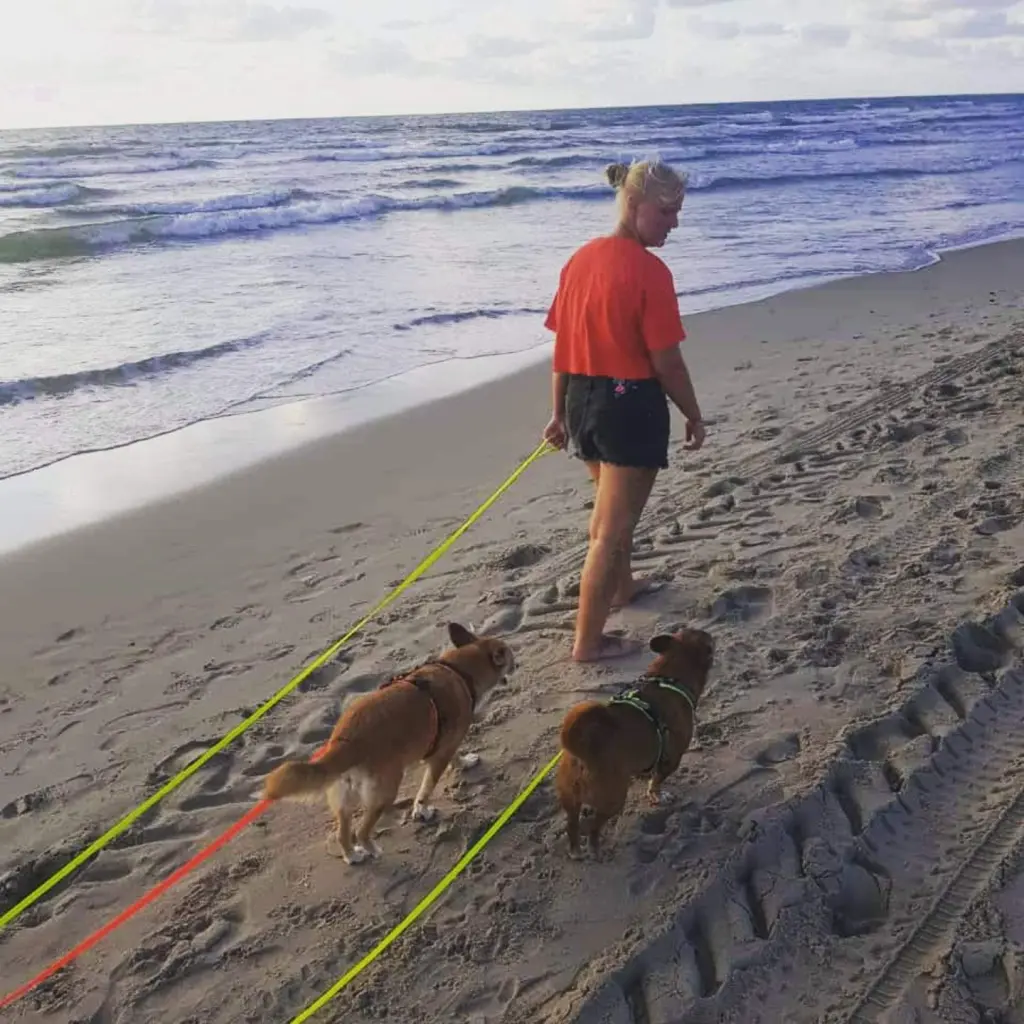 Andachtsbild von Mandy & Jazz für Zuzi