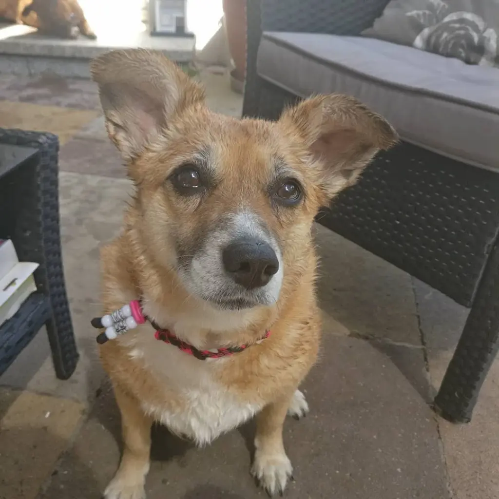 Dieses Bild trage ich auf meiner Haut